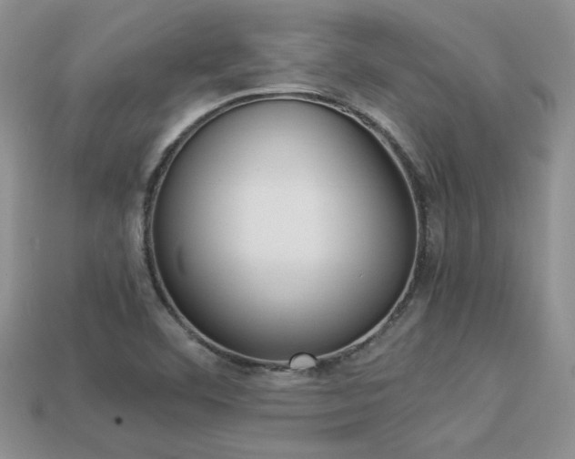 X0000113311460200909140956