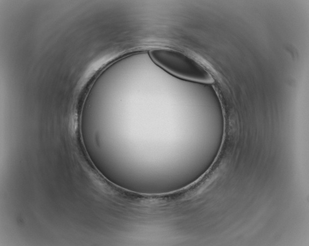 X0000113311461200909140956
