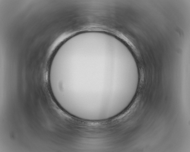 X0000113311462200909140956