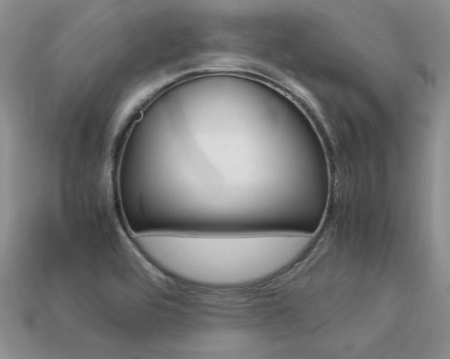 X0000113311464200909140956