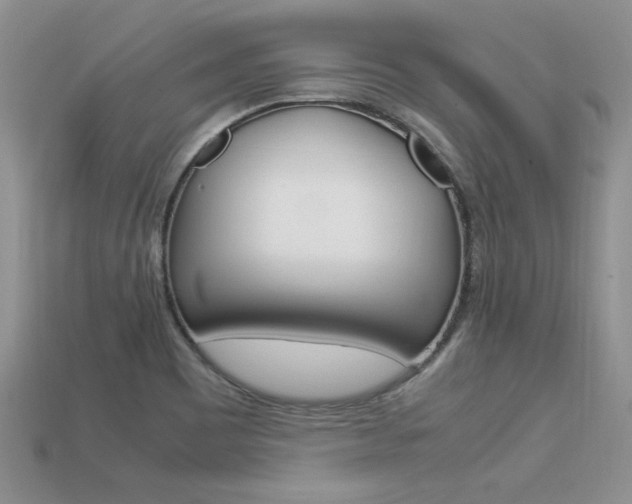 X0000113311465200909140956