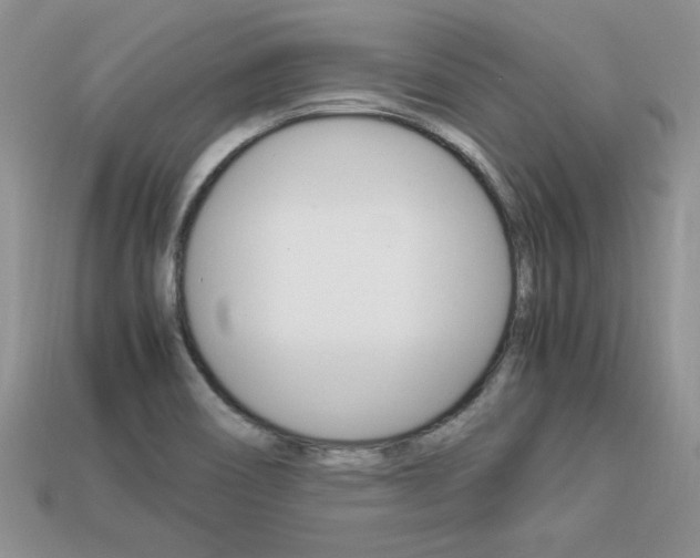 X0000113311466200909140956