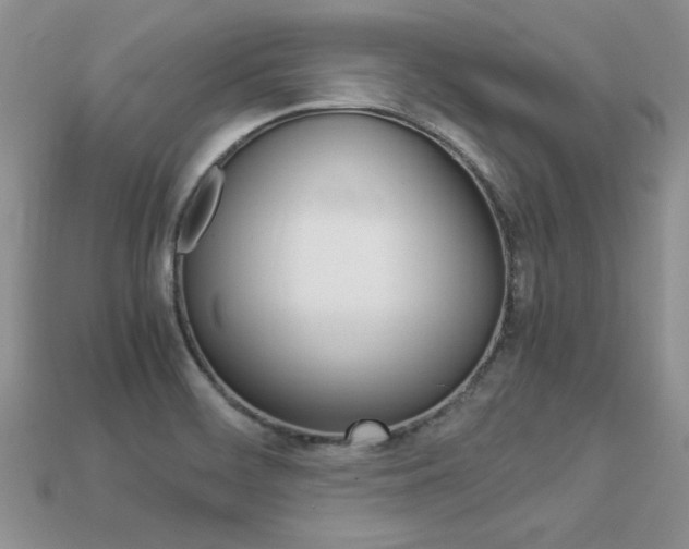 X0000113311468200909140956