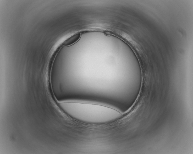 X0000113311469200909140956
