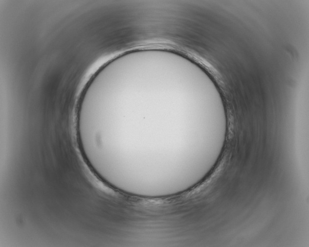 X0000113311470200909140956