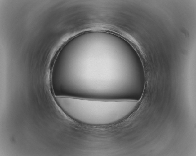 X0000113311472200909140956