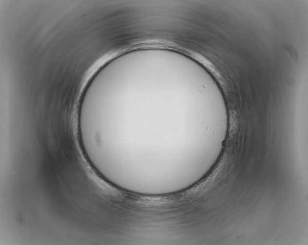X0000113311474200909140956