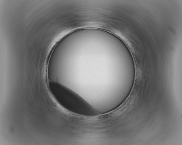 X0000113311477200909140955