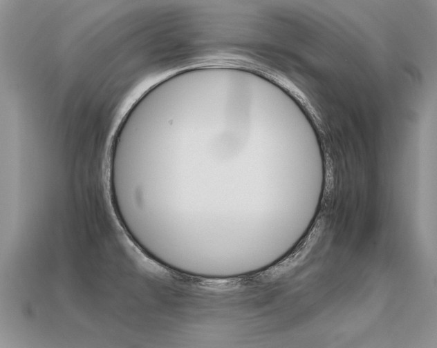 X0000113311478200909140955