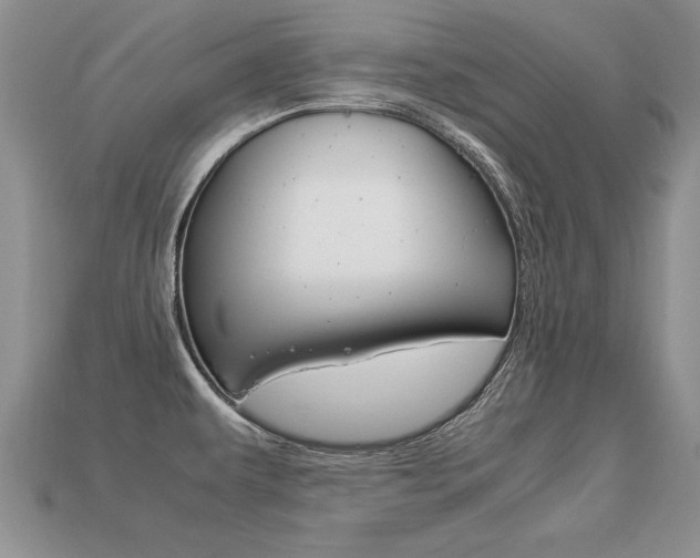 X0000113311479200909140955