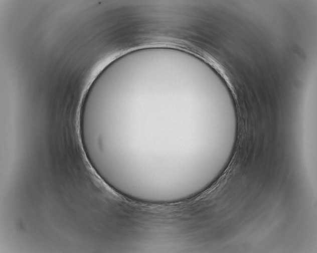 X0000113311480200909140955