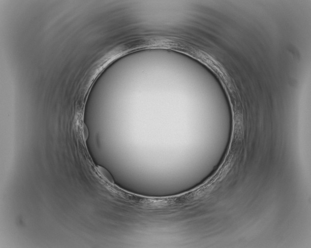 X0000113311481200909140955
