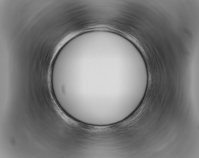 X0000113311482200909140955