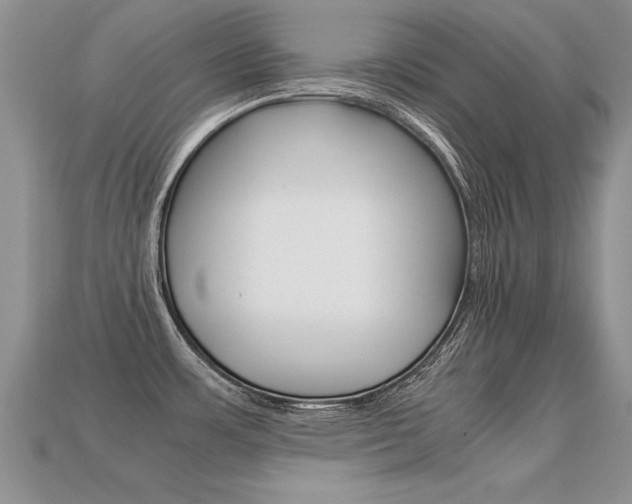 X0000113311483200909140955