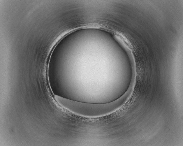 X0000113311484200909140955