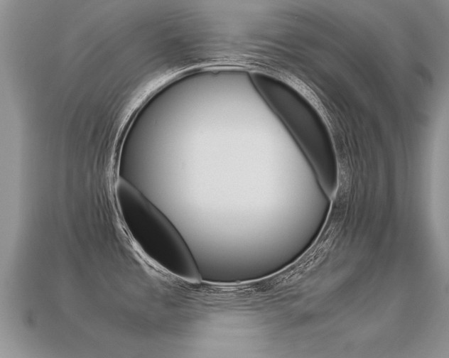 X0000113311485200909140955