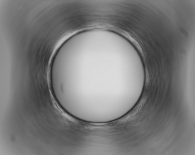 X0000113311486200909140955