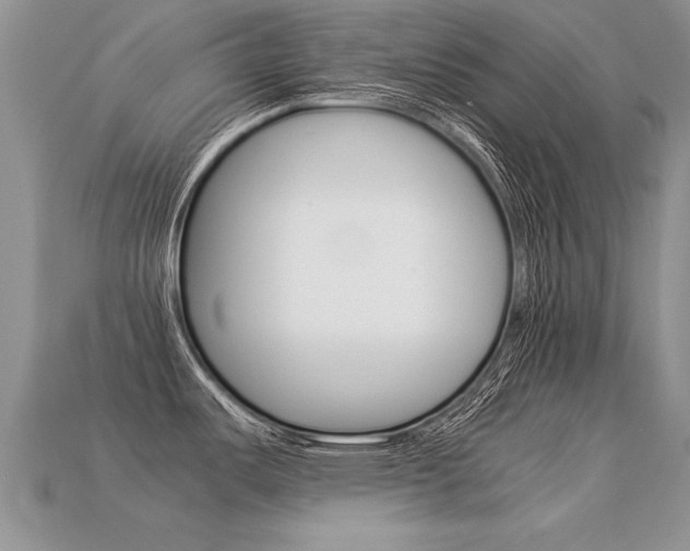 X0000113311487200909140955