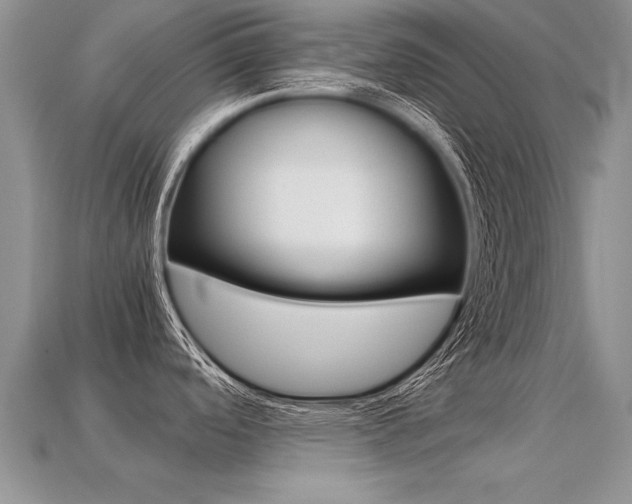 X0000113311488200909140955
