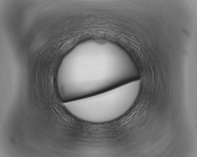 X0000113311489200909140955