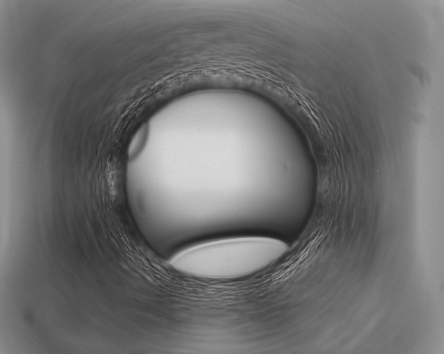 X0000113311490200909140955
