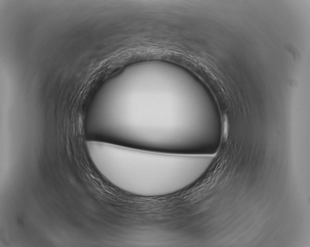 X0000113311492200909140955