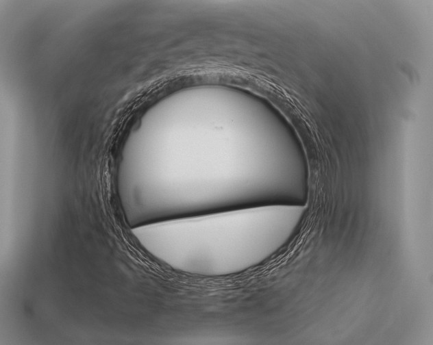 X0000113311493200909140955