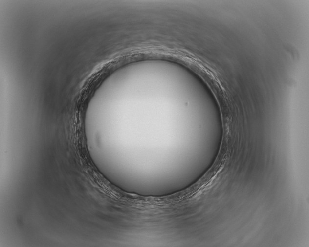 X0000113311494200909140955