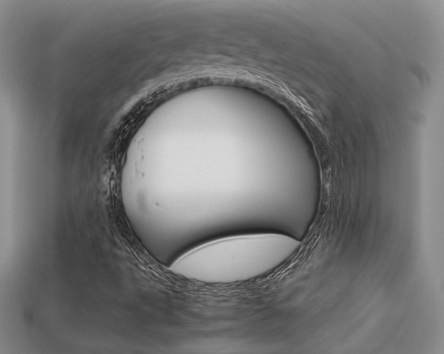 X0000113311495200909140955