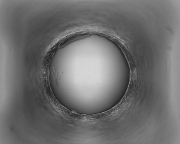 X0000113311496200909140955