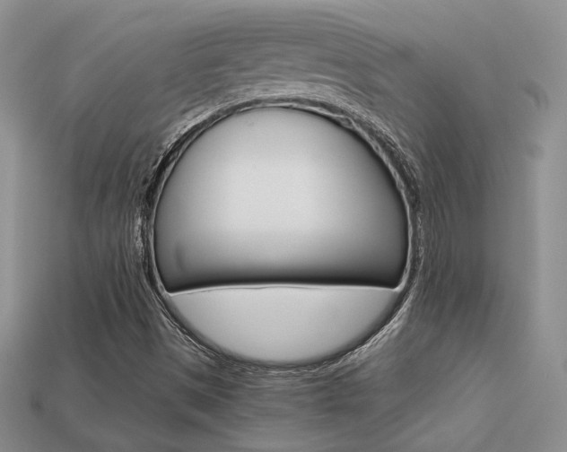 X0000113311497200909140955