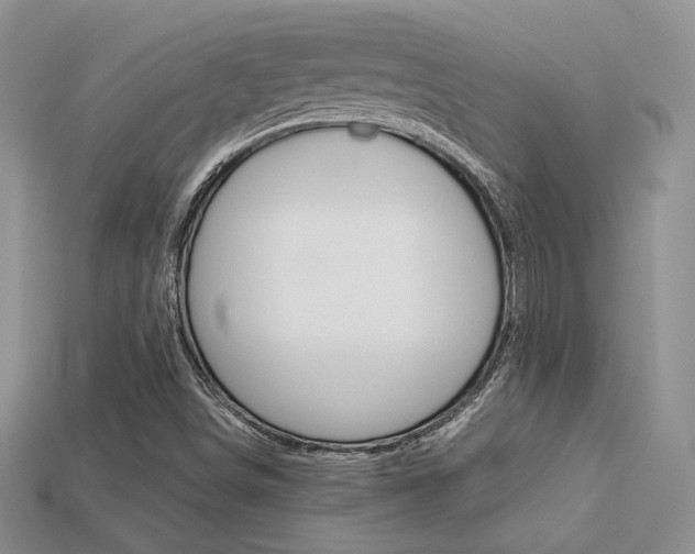 X0000113311498200909140955