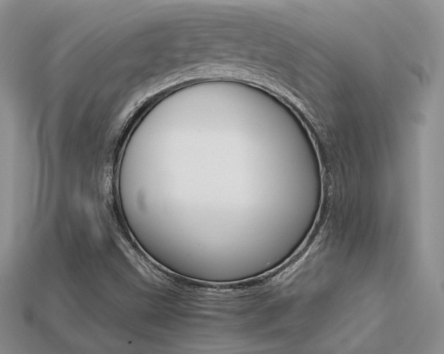 X0000113311499200909140955
