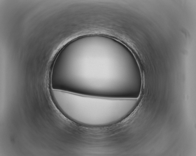 X0000113311500200909140955