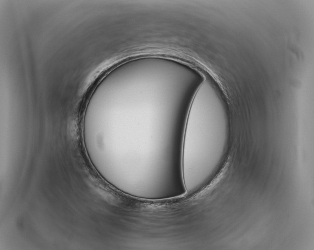 X0000113311501200909140955