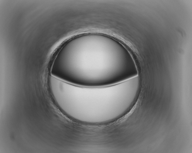 X0000113311502200909140955