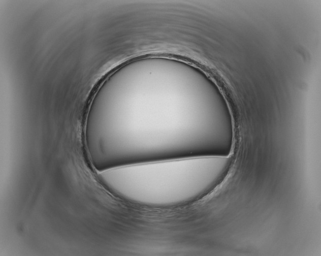 X0000113311505200909140955