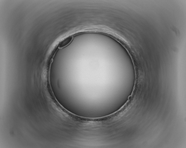 X0000113311506200909140955