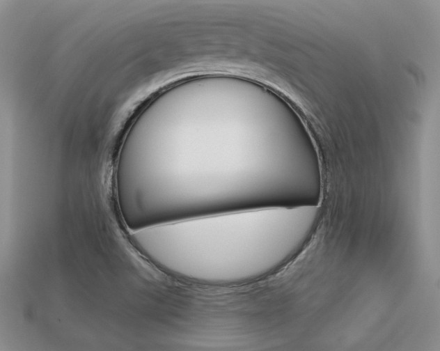X0000113311507200909140955