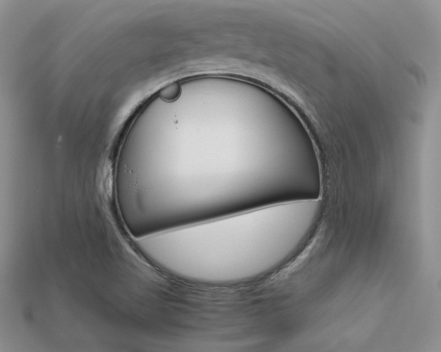 X0000113311509200909140955