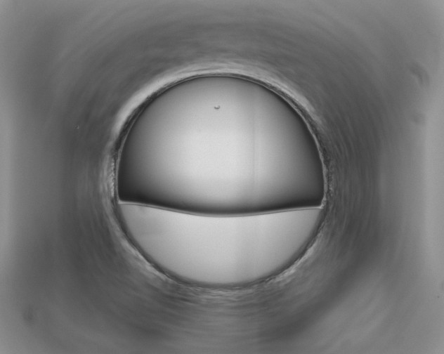 X0000113311510200909140955