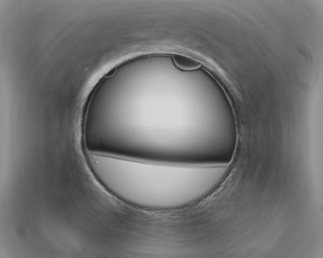 X0000113311512200909140955