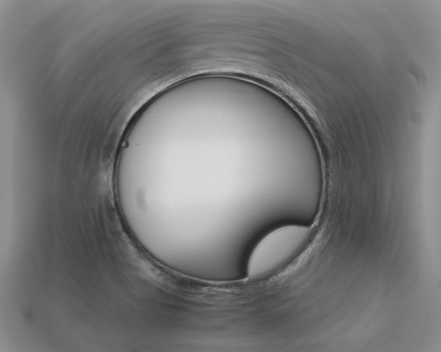 X0000113311513200909140955