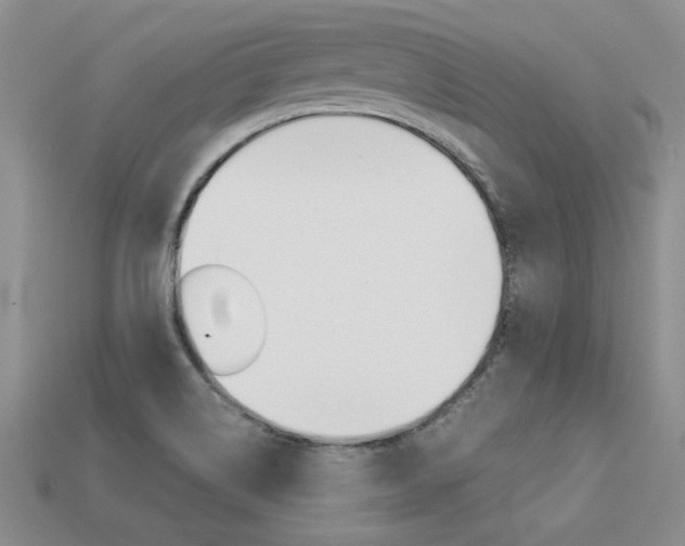X0000113311514200909140955