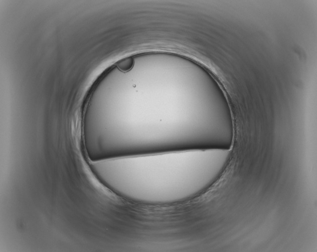 X0000113311515200909140955