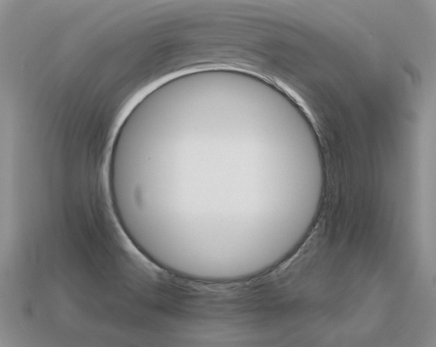 X0000113311516200909140955