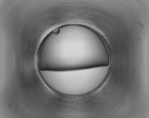 X0000113311517200909140955
