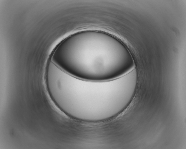 X0000113311518200909140955