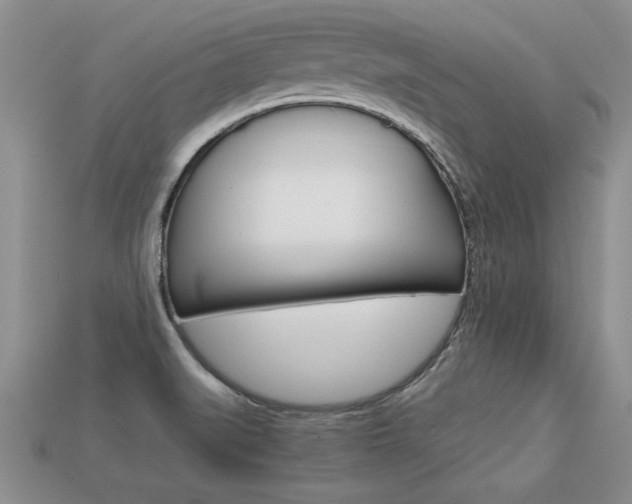 X0000113311519200909140955