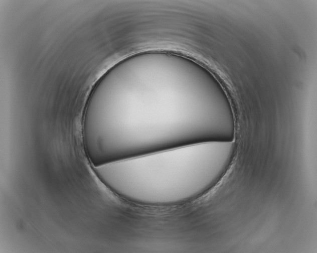 X0000113311521200909140955